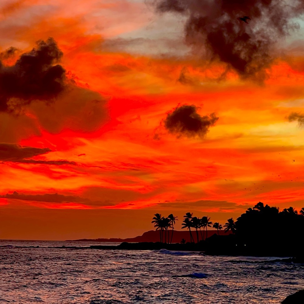 Meet your Posher, Terry